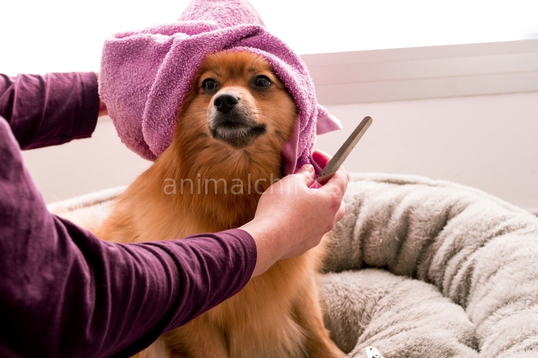 Pain Management