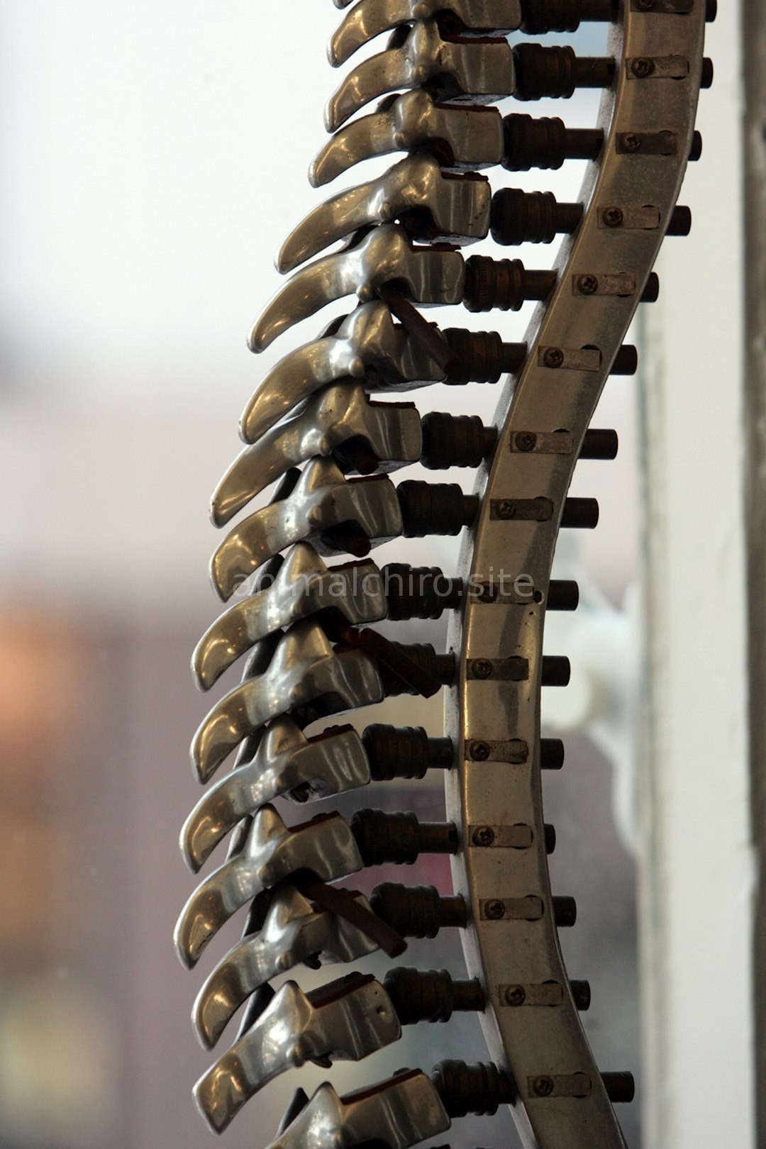 Chiropractic Care