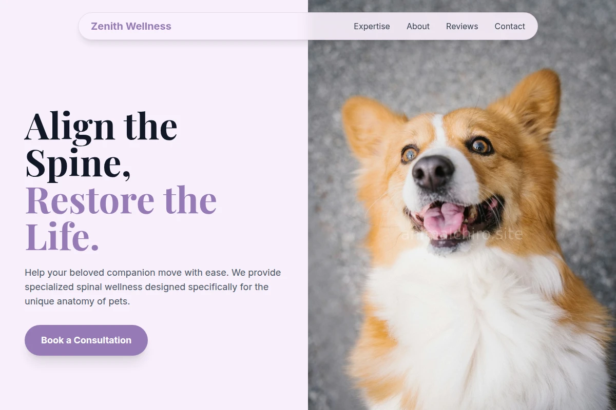 Spine Pet Services