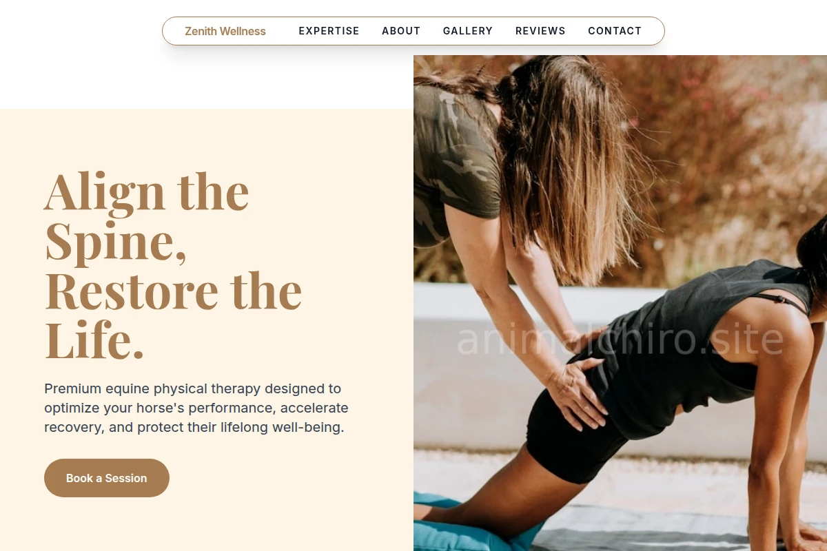 Equine Physical Therapy
