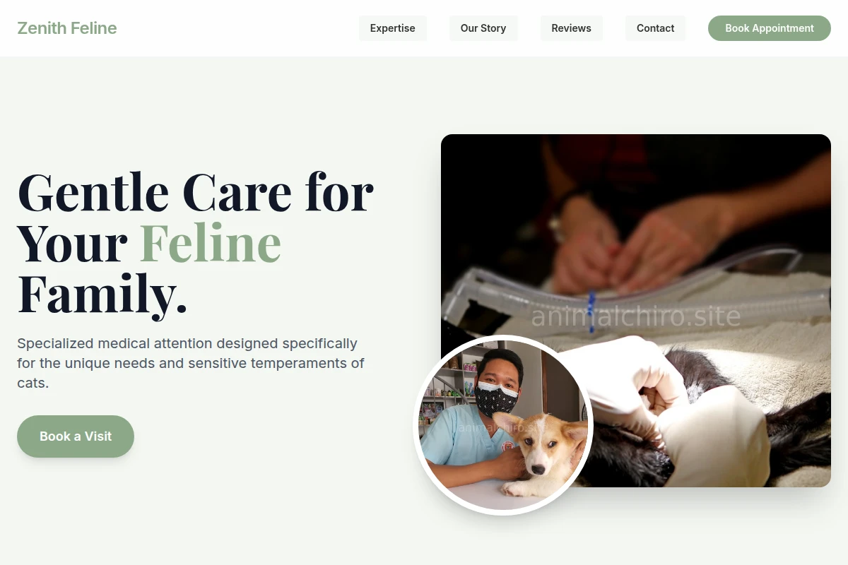 Feline Veterinary