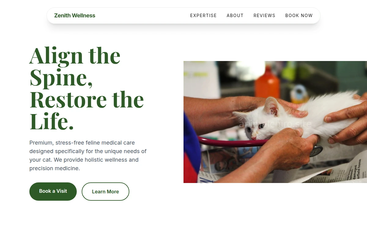 Cat Veterinary